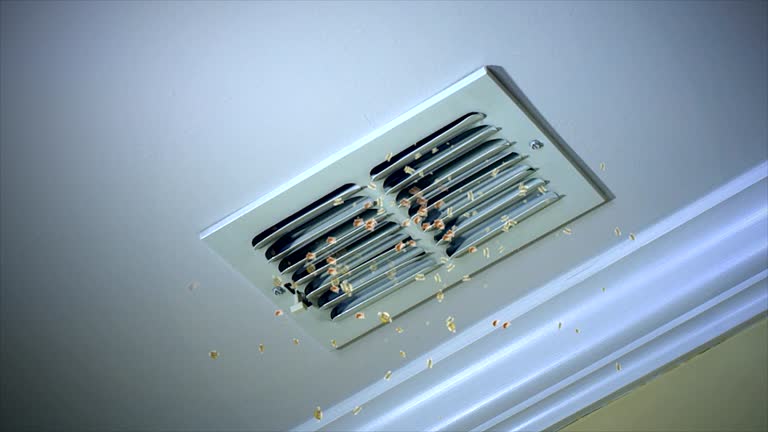 Best Affordable HVAC Duct Cleaning  in Valley Stream, NY